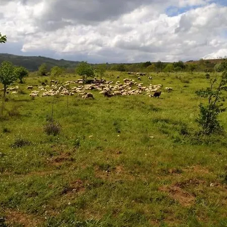Nyaraló - Casa Da Ribeira *