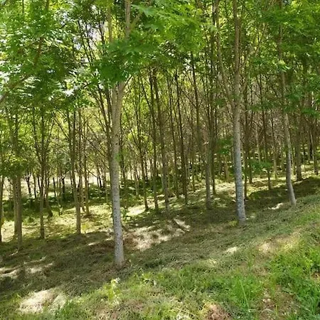 Casa de Férias - Casa Da Ribeira Serapicos