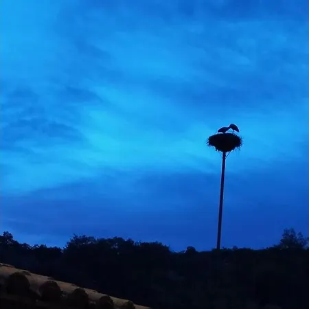 - Casa Da Ribeira * Serapicos