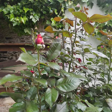 Casa de Férias - Casa Da Ribeira *