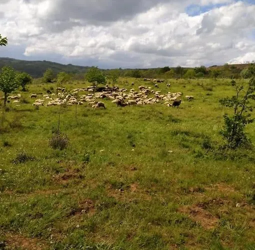 بيت للعطل - Casa Da Ribeira *