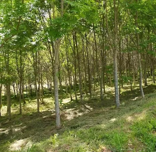 بيت للعطل - Casa Da Ribeira Serapicos