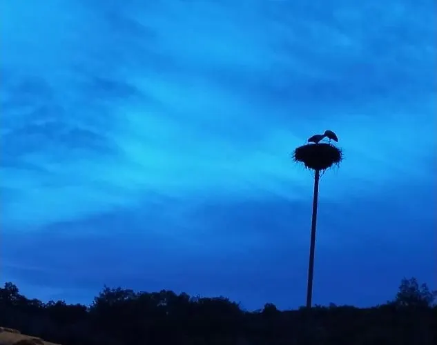 - Casa Da Ribeira * Serapicos